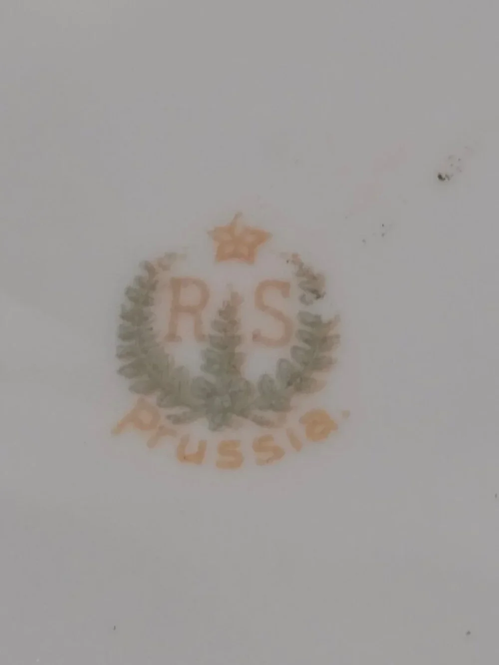 Antique RS Prussia Red Mark Scalloped Floral Roses Porcelain Plate
